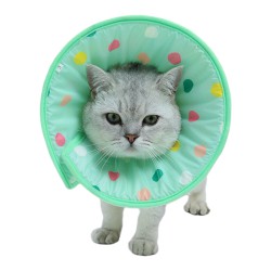 Cat Cones for Anti-licking