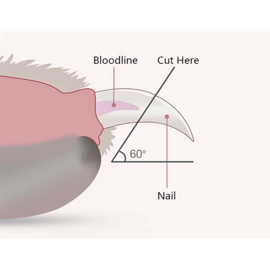 Cat Dog Led Light Nail Clipper With Safety Guard
